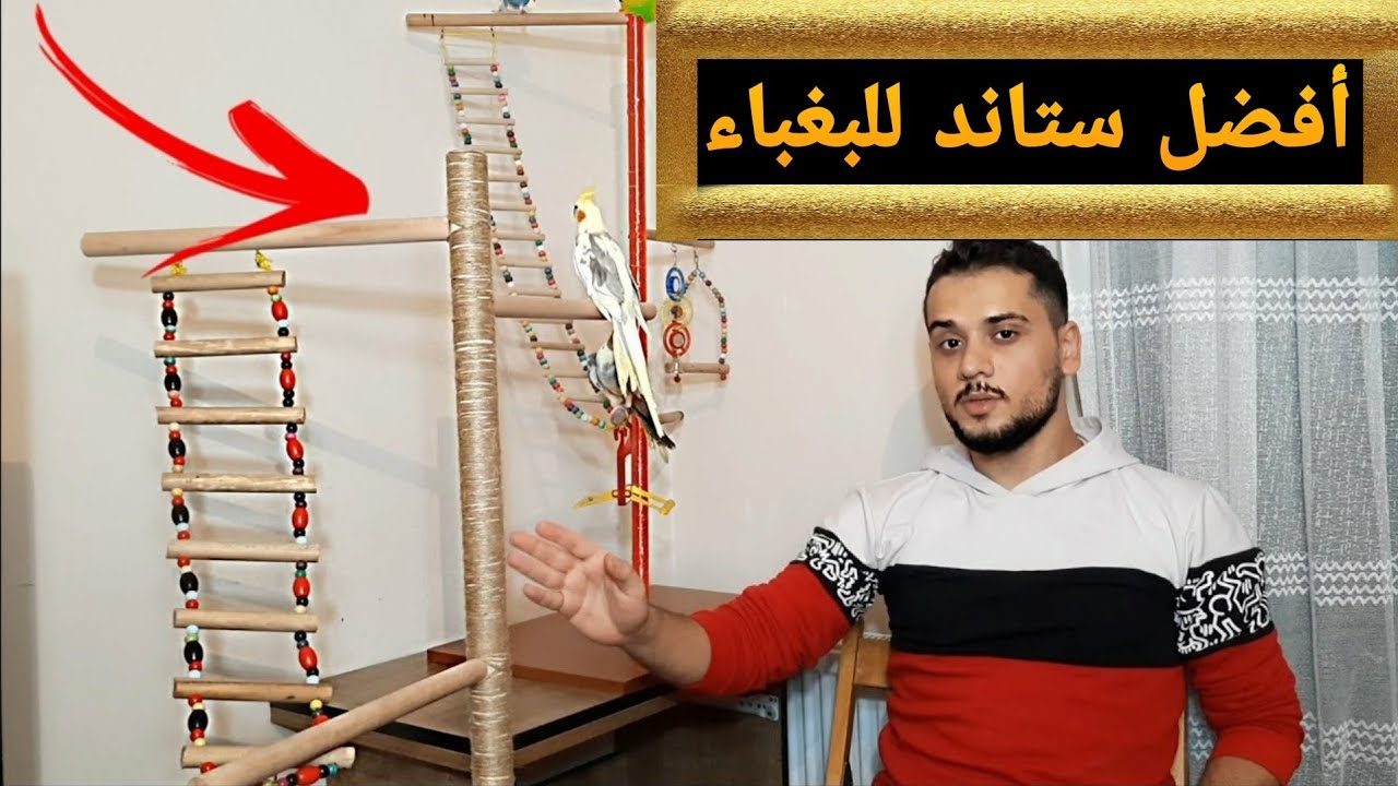 كيف تصنع ستاند للطيور بنفسك وبأبسط المواد #أمين_كادورة