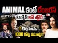 యానిమల్ కంటే toxic హారర్ థ్రిల్లర్ లవ్ స్టోరీ I Obsession Records in Hollywood I Tirupati 