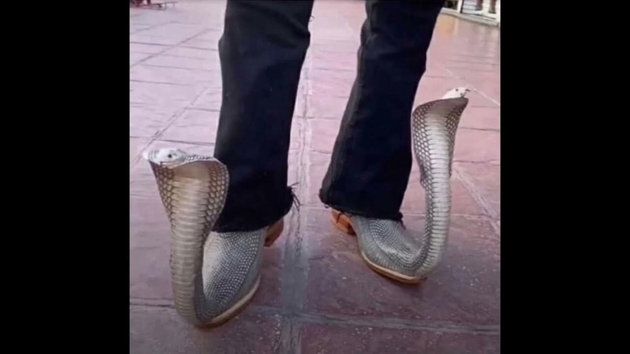 Бархатные тяги фото подкрадули