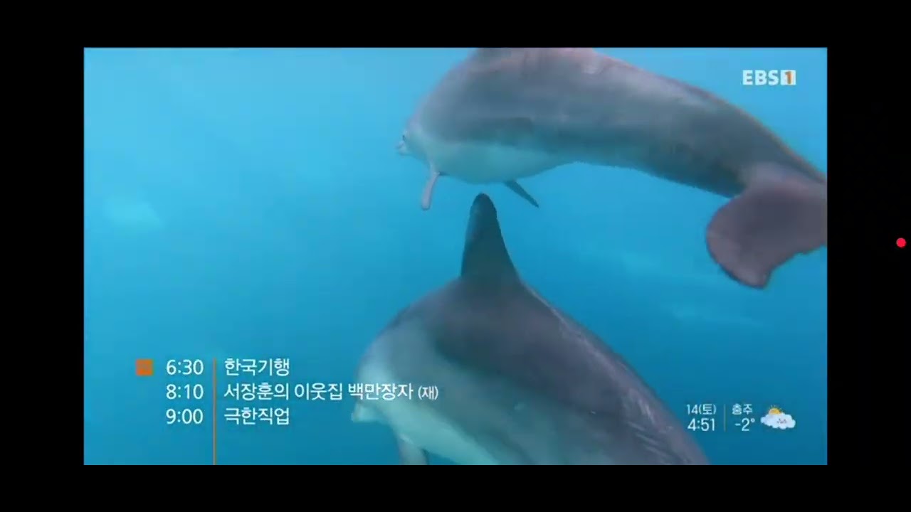 20260214 EBS1 방송순서영상(음악으로 결정)