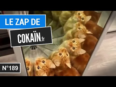 Le Zap de Cokaïn.fr n°189