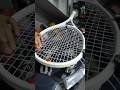 TARIK SENAR RAKET WILSON PRO STAFF WHITE