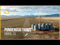 Ponderosa Farms | Dorris, California