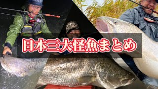 日本三大怪魚とのバトルまとめました！