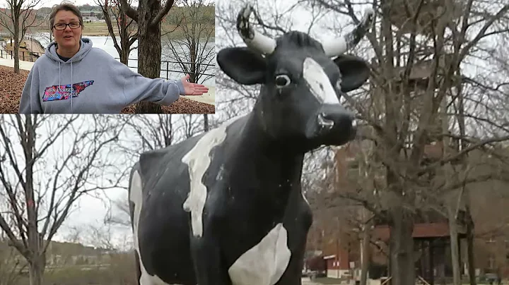 GIANT COW! Columbus Icon KD (Kinnett Dairies) Moved to the Riverwalk -  Visiting The Island!