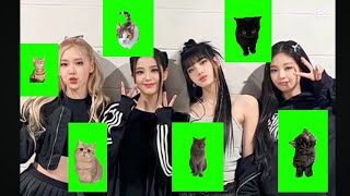 Yeşil Ekran Fotoğrafları Nasıl Yapılırtabletücretsiz