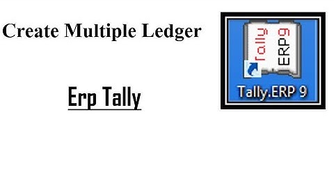 Multiple Ledger Creation in Tally ERP 9 Hindi/English