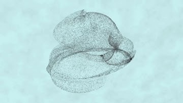 Maya: BlendShape, Softbody, MASH