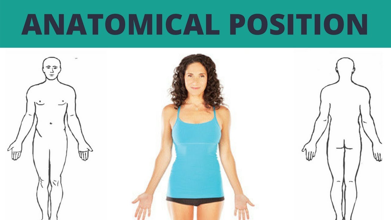 Anatomical position - tyredstrange