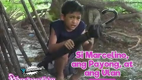 Wansapanataym: Si Marcelino, ang Payong, at ang Ulan Full Episode | YeY Superview