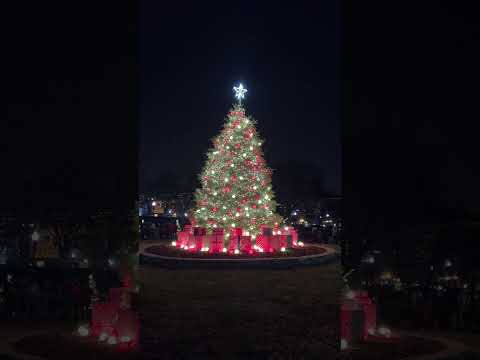 Vídeo: Arbre de Nadal de Capitol a Washington, D.C