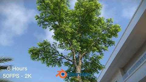 .Blender VS D5 Render - Animation Speed