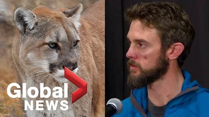 HIGHLIGHTS: Man describes killing mountain lion during attack