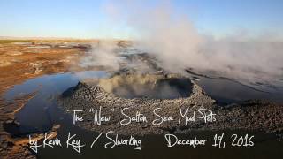 I shot this video with my canon 6d. these used to be invisible since
they were covered water. in the past couple of years, salton sea has
begun dryi...