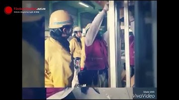 Thực Tập Sinh Làm Mộc Xây Dựng Tại Nhật | Việc Làm Nhật Bản