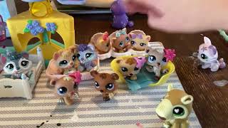 Lps: adopt me π§Έπ