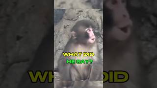 Punch Finally Made A Sound But It Wasnt Fear 