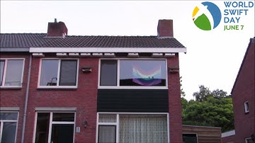 Gierzwaluwen rond huis ter ere van Wereld Gierzwaluw Dag 2020