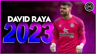 David Raya  2022/23 ●  The protector ● Best Saves & Passes Show | HD