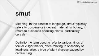 smut Meaning