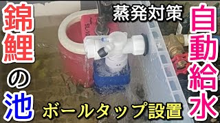 自動給水！池のろ過槽にボールタップ設置してみた