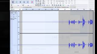Audio recording for interviews and transcription