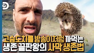 꼭 그렇게.. 보이는 건 다 먹어야.. 속이 후련했..냐!!!!! [고독한 생존가]