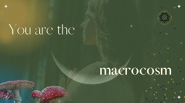 You are the Microcosm and the Macrocosm