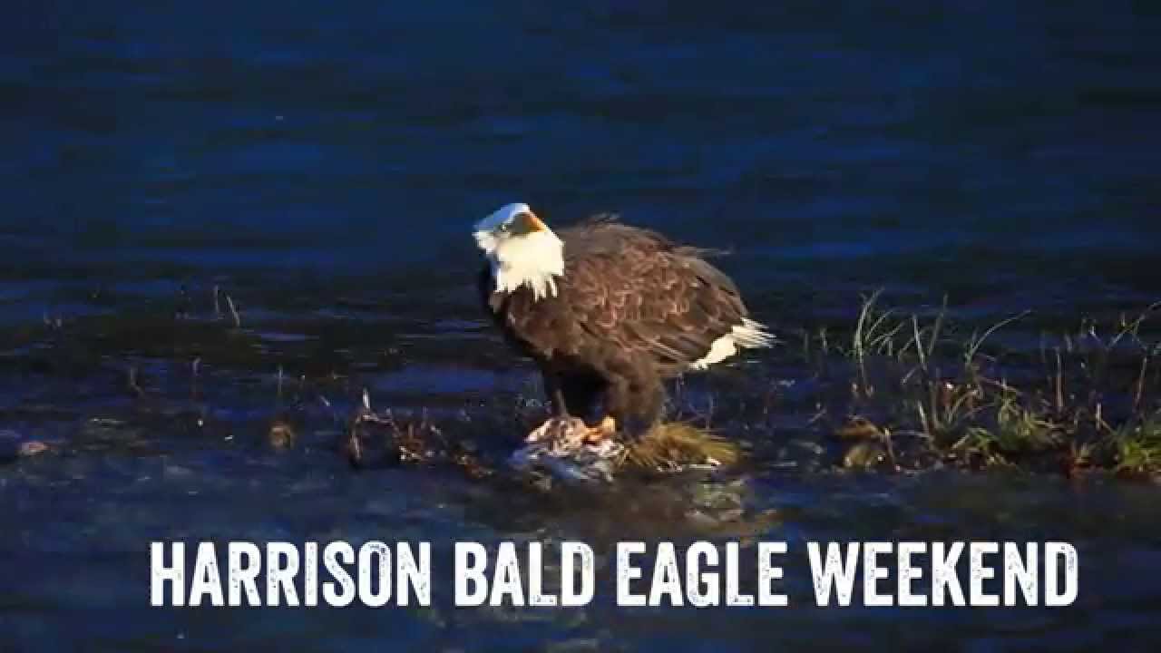 Harrison Hot Springs Events 2025 Schedule