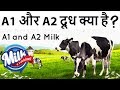 A1 vs A2 Cows Milk: What's the Difference, Benefits, & Nutrition