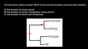 Evolution and Phylogenetics