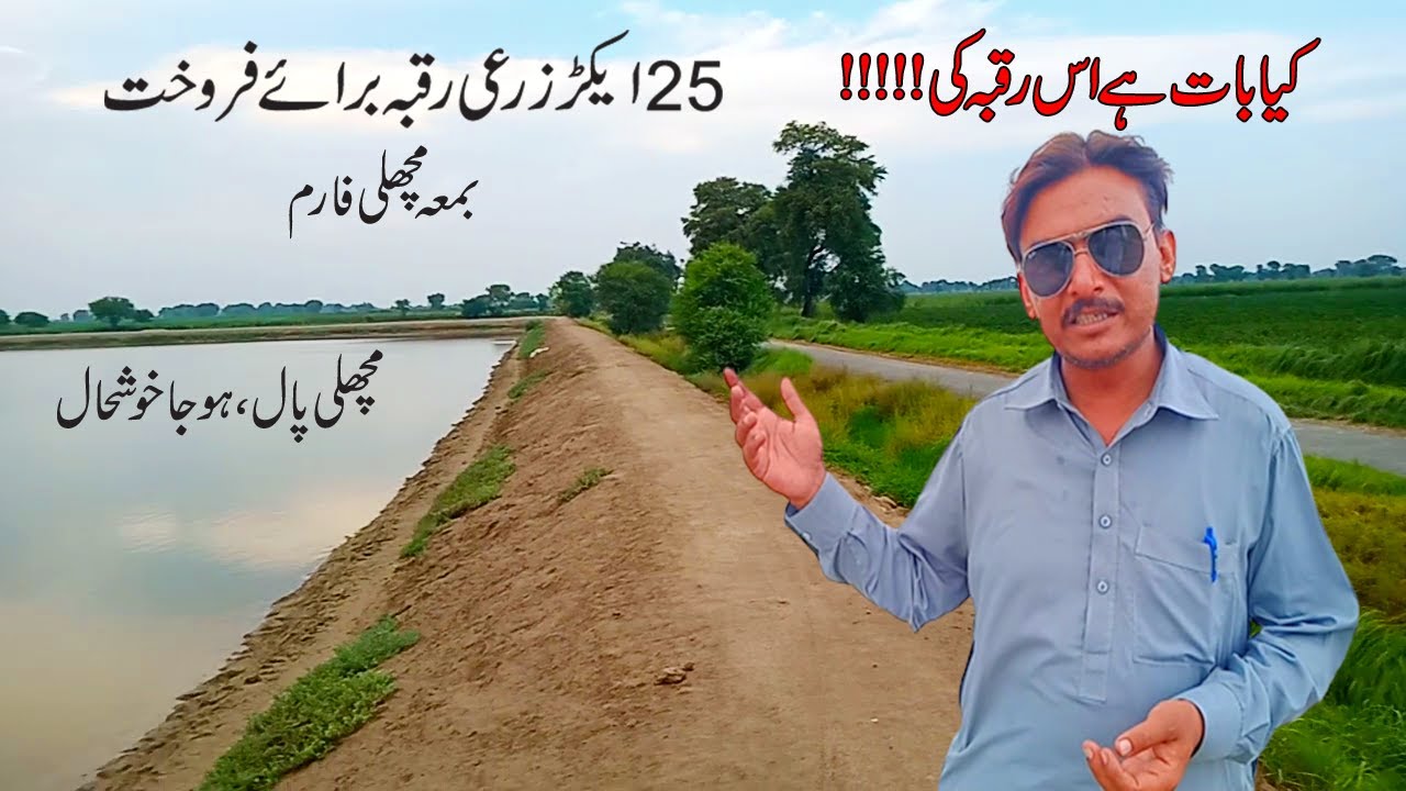 25 Acer Agriculture Land For Sale In Pakistan With Fish Farm