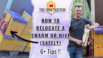 How to Transport a Beehive//Relocating an Established Colony//Moving your Swarm to the Apiary