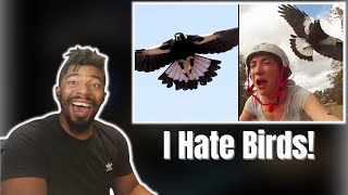 AMERICAN REACTS TO Ozzy Man Reviews: MAGPIES