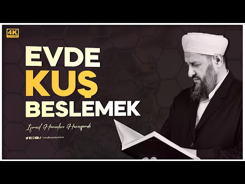 Evde Kuş Beslemek Hakkında - İsmail Hünerlice Hocaefendi