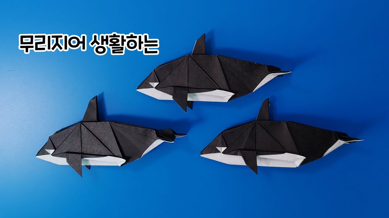 범고래 접는방법(종이접기) / 네모아저씨 / Origami killer whale