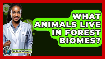 What Animals Live In Forest Biomes? - Earth Science Answers