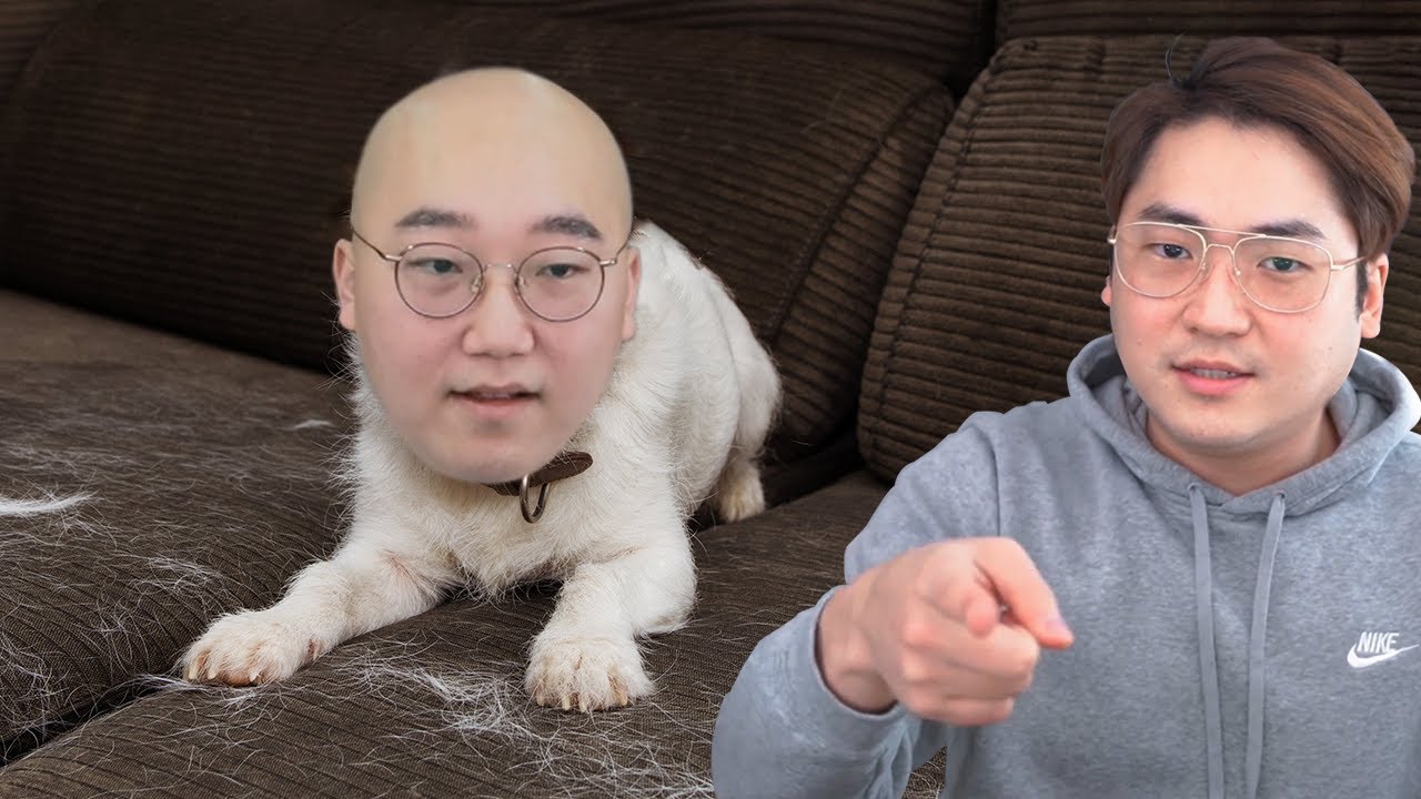 비포 & 애프터 l 개복어 강화쇼 l 로스트아크 l 노돌리 로아 게임 풀영상 #대머리