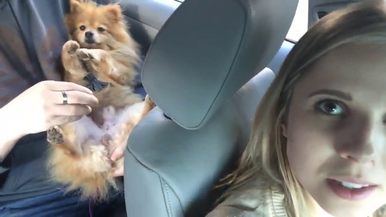 Do The Arm Thing Homie
