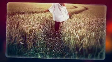 Parallax Frames | After Effects template