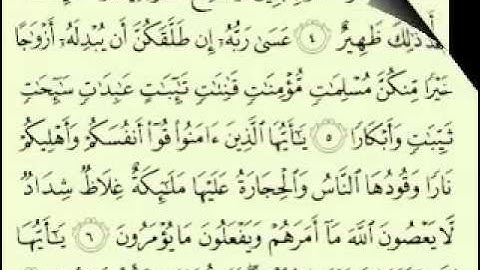 66  سورة التحريم تلاوة الشيخ ماهر المعيقلي مع الآيات