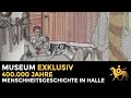 400000 jahre menschheitsgeschichte in halle  museum exklusiv