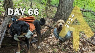 Leo finds a Hiking Buddy! - Day 66 - Appalachian Trail