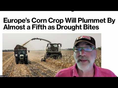 How global weather problems are creating the new bull market for corn prices
