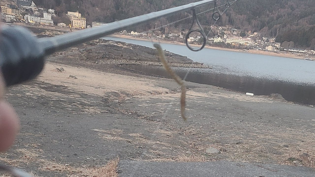 2月28日ライブ配信～‼️河口湖ロイヤルワンド～‼️ミドスト～‼️