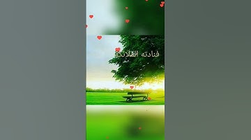مقتطفات من صلاة التراويح ١٤٤٤هـ -سورة ال عمران