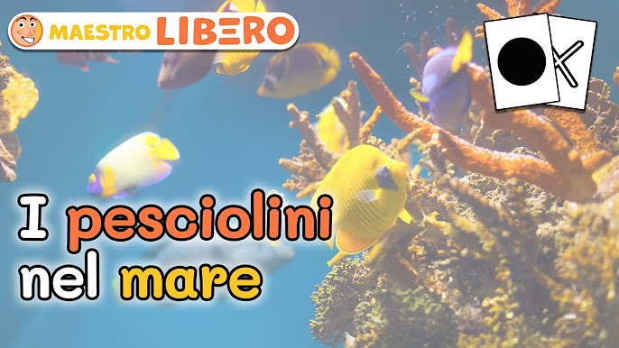 Maestro Libero - App su Google Play