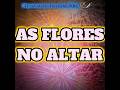 Aliança {Zenitsu x Nezuko #shortsviral #naofloppa #viraliza #demonslayer #edit #shorts #nezeko