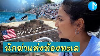 สวนสัตว์น้ำ SeaWorld San Diego ที่แรกในอเมริกา พาดูวาฬเพชฌฆาต #มอสลา | SeaWorld San Diego 2021