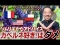 カベルネ・ソーヴィニヨン三大銘醸地飲み比べ！フランス・アメリカ・チリ美味しいのはどこ？【ワイン知ったかぶり】